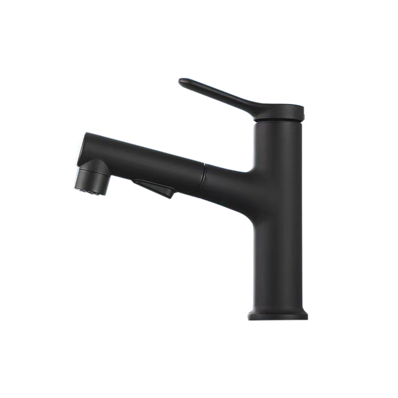 BowLift | Vessel Sink Faucet Contemporary Pull-out Tap with Swivel Spout