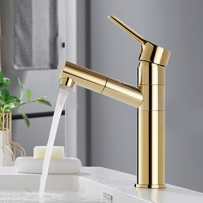 BowLift | Swivel Spout Sink Faucet Retractable Luxurious Basin Faucet Round Brass Faucet