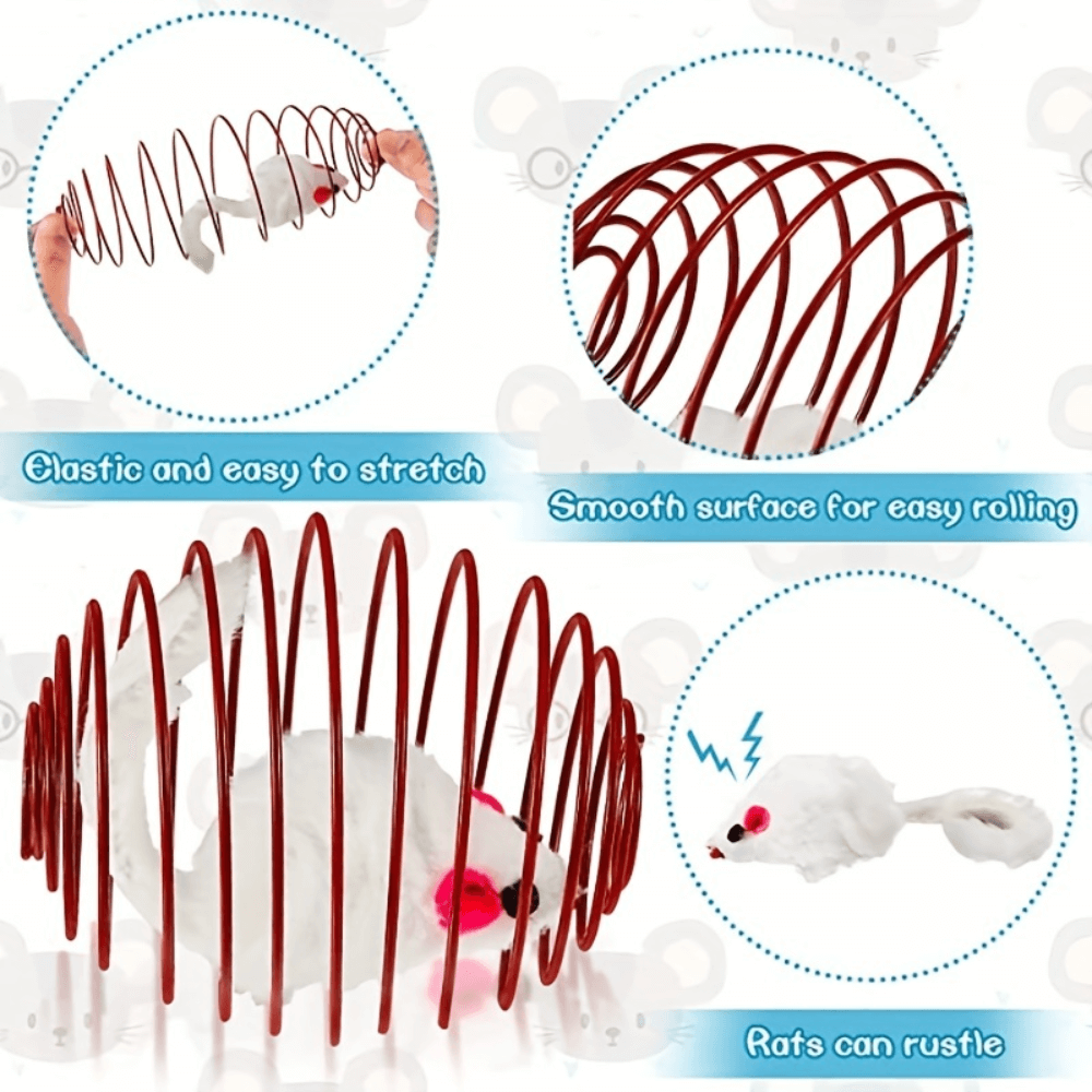 Interactive Cat Spring Toy Set