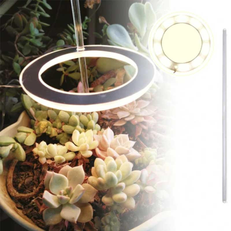 BowLift | Grow lights for indooe plants