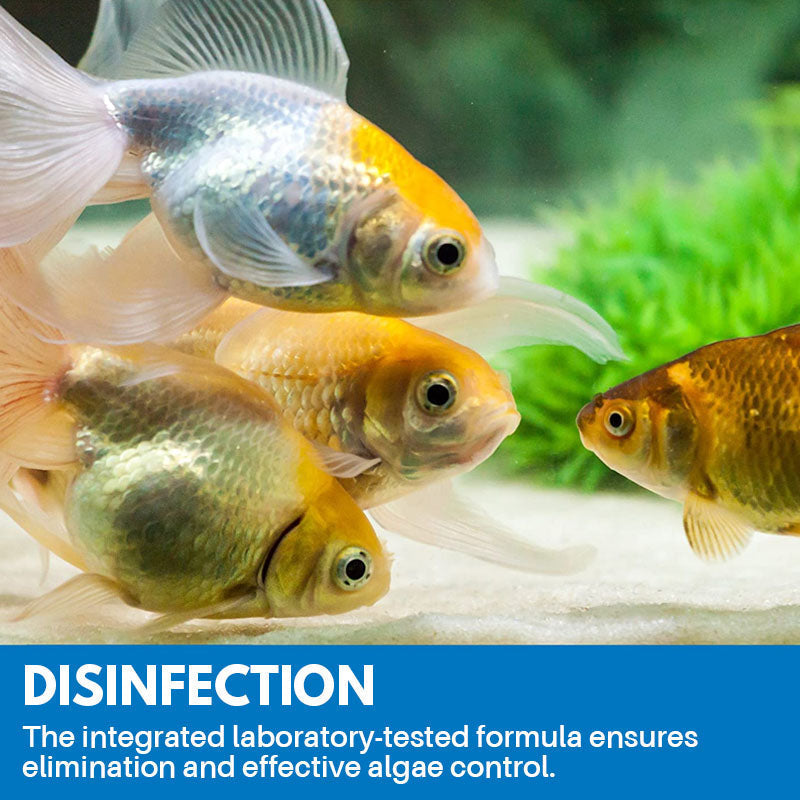 BowLift | Aquarium Cleaning Powder