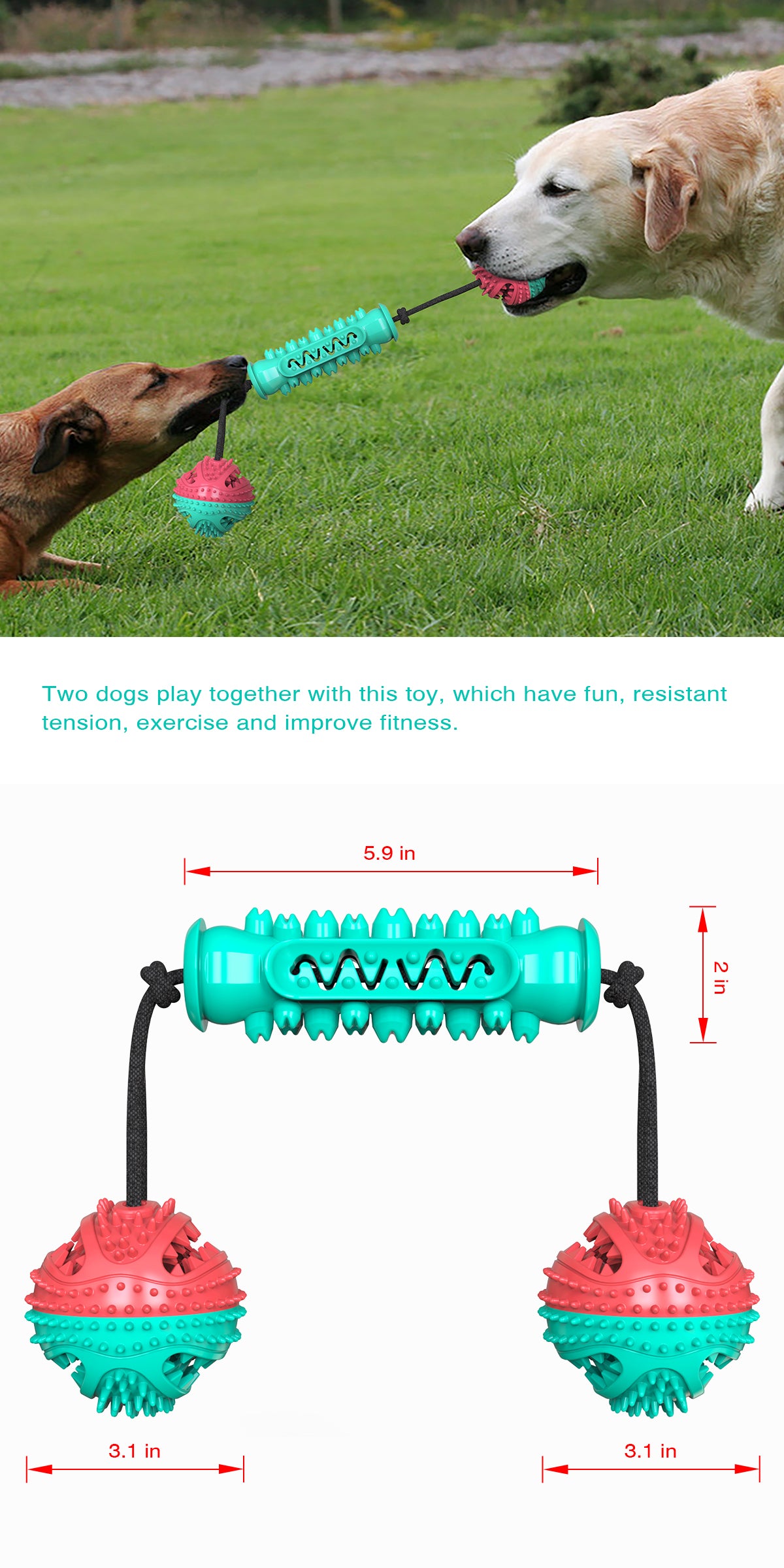 Dog Serrated Chew Toy / Dumbbell Style A / For Dogs