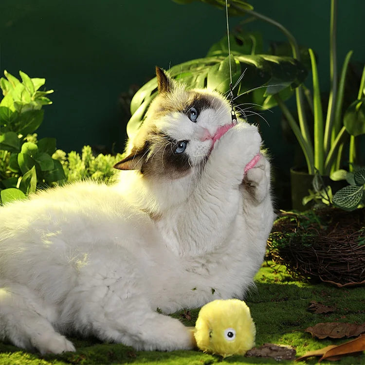 BowLift | β smarter interactive plush ball for cats | buy 1, get 1 free π