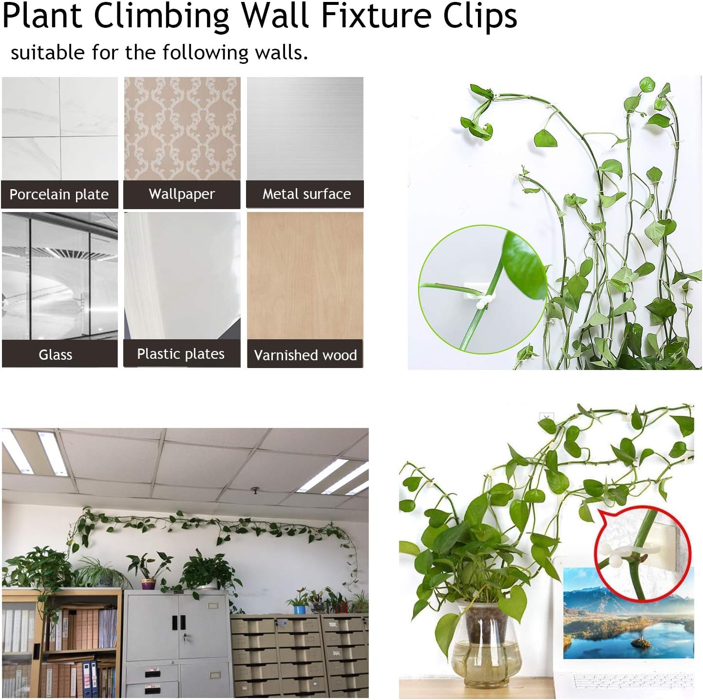 BowLift | Climbing Wall Mounting Clips – Practical Plant Holders for Wall Decoration