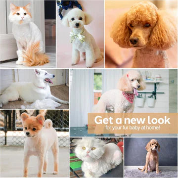 BowLift | Dog Grooming Clippers Kit