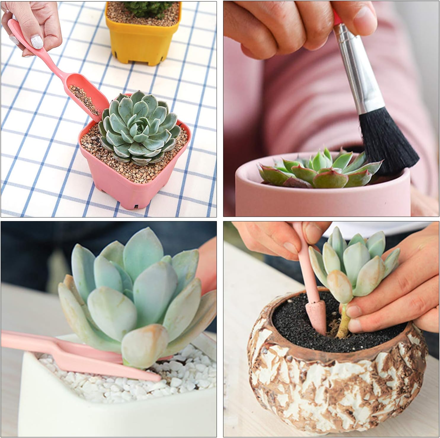 BowLift | Combination set for succulent planting tools – Practical set for care and planting