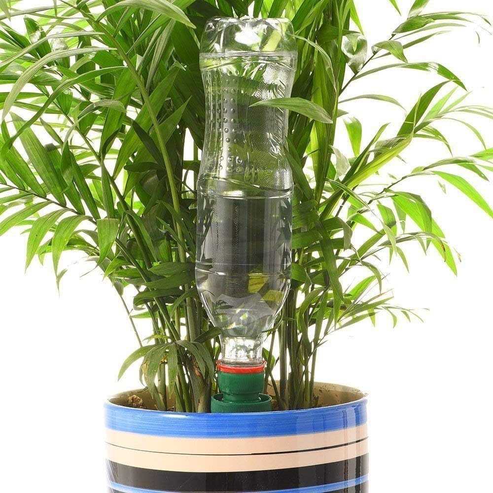 BowLift | Self-watering spikes for plants – Automatic drip tips for bottles