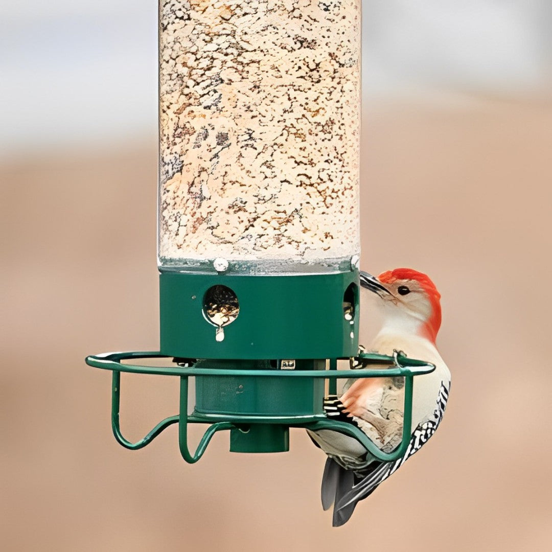 BowLift | Bird Feeder Hanging Metal Squirrel Proof Tube