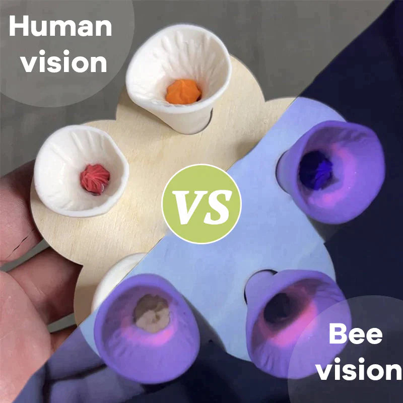 BowLift | Bee Drinking Cup