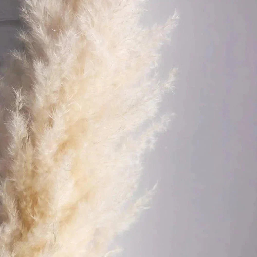 BowLift | 80 cm natural, real dried pampas grass bouquet (white / beige / gray) │ fluffy feather for modern boho home decor