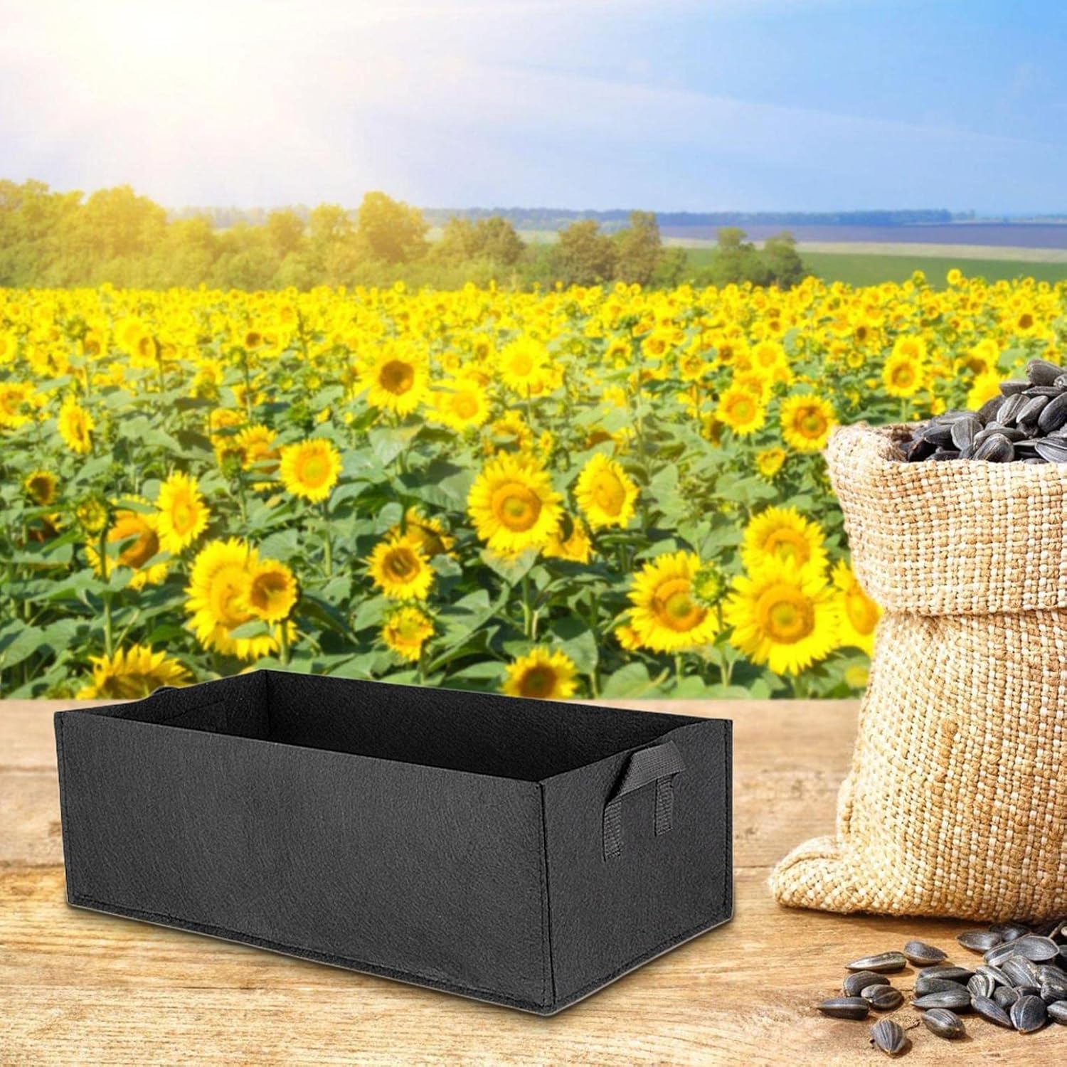 BowLift | Foldable storage box made of felt for plants with handles