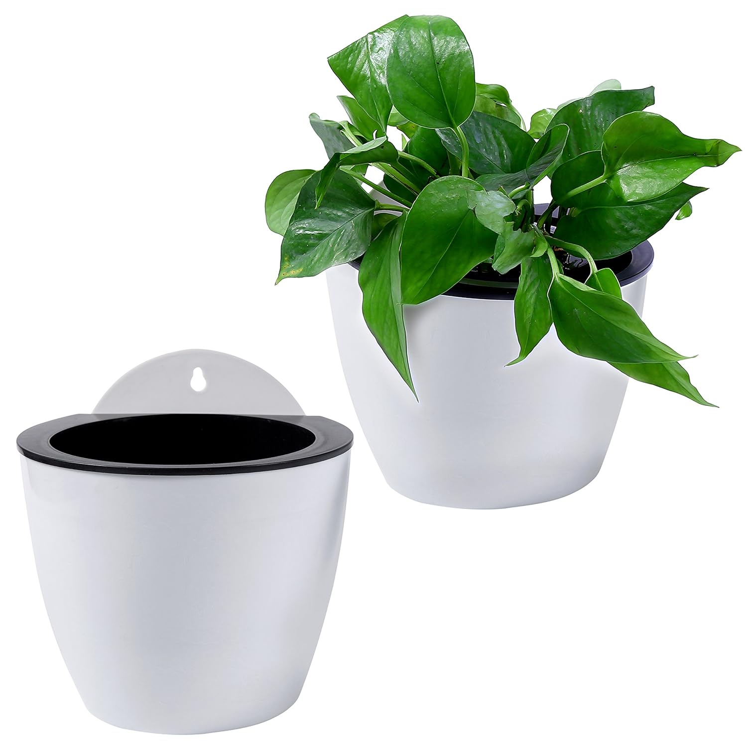 BowLift | Self-watering hanging plant pot – Modern flower pot for wall mounting