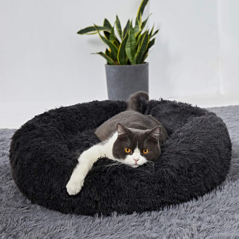 BowLift | PawNest Calming Donut Cat Bed | Round Plush Nest | Stress-Reducing & Cozy | Perfect for Cats & Small Dogs