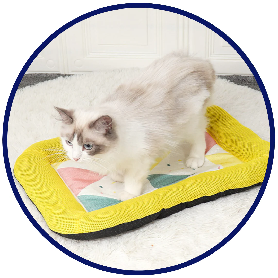 BowLift | Pet Silk Cooling Mat