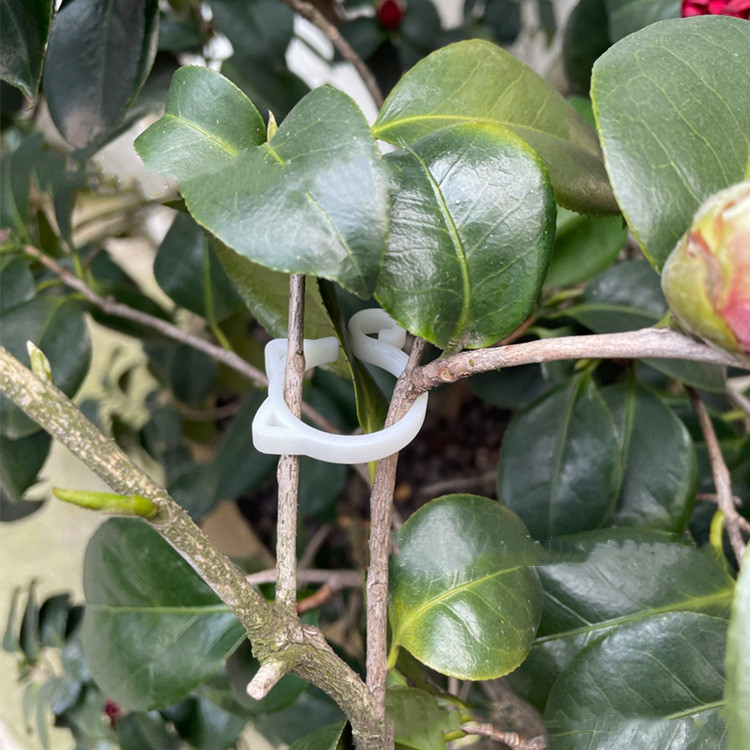 BowLift | Cat-shaped Plant Clip – Cute Plant Support for Garden and House Plants