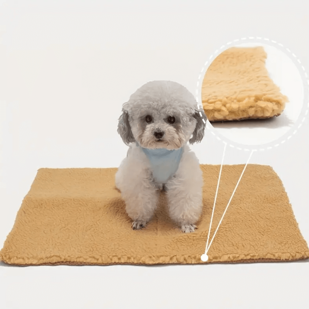 Thermal Cozy Dog Floor Mat
