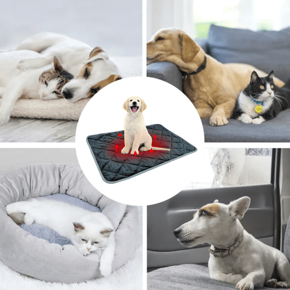ToastyPaws Dog Self-Heating Pad
