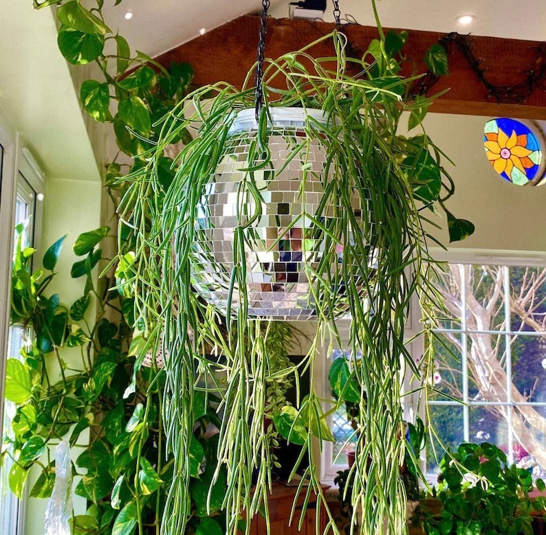 BowLift | Disco Ball Hanging Planter