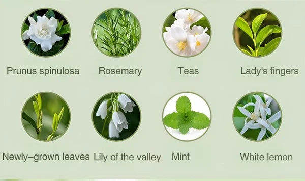 BowLift | Automatic Aromatherapy Diffuser