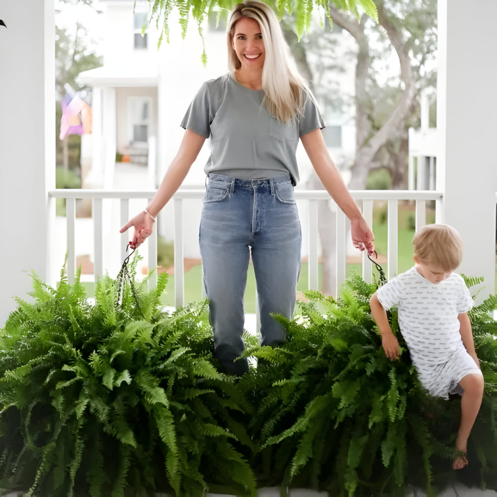 BowLift | Artificial Boston Fern Home Decor Plant