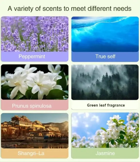 BowLift | Automatic Aromatherapy Diffuser – 5-level Timer with Highly Pure Essential Oil