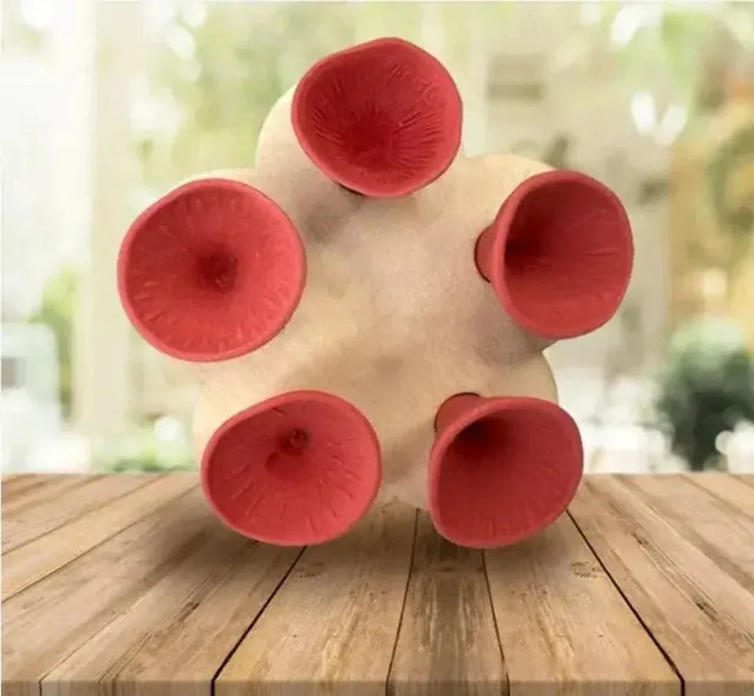 BowLift | Bee Care - PolliCup - Pollinator Friendly - Support Biodiversity