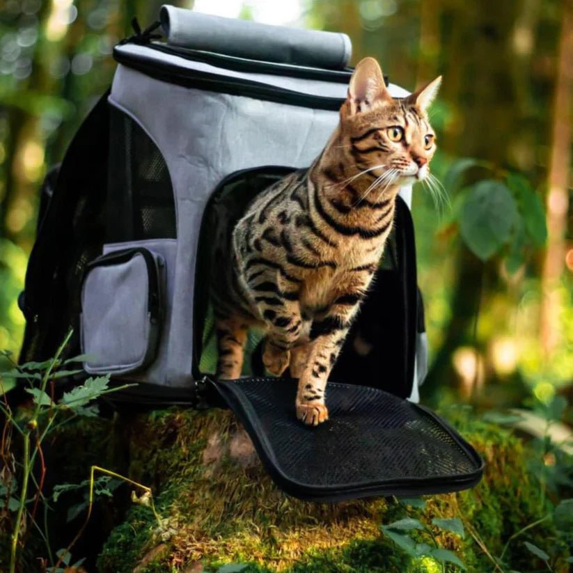 BowLift | Comfortable Cat Backpack with Viewing Window