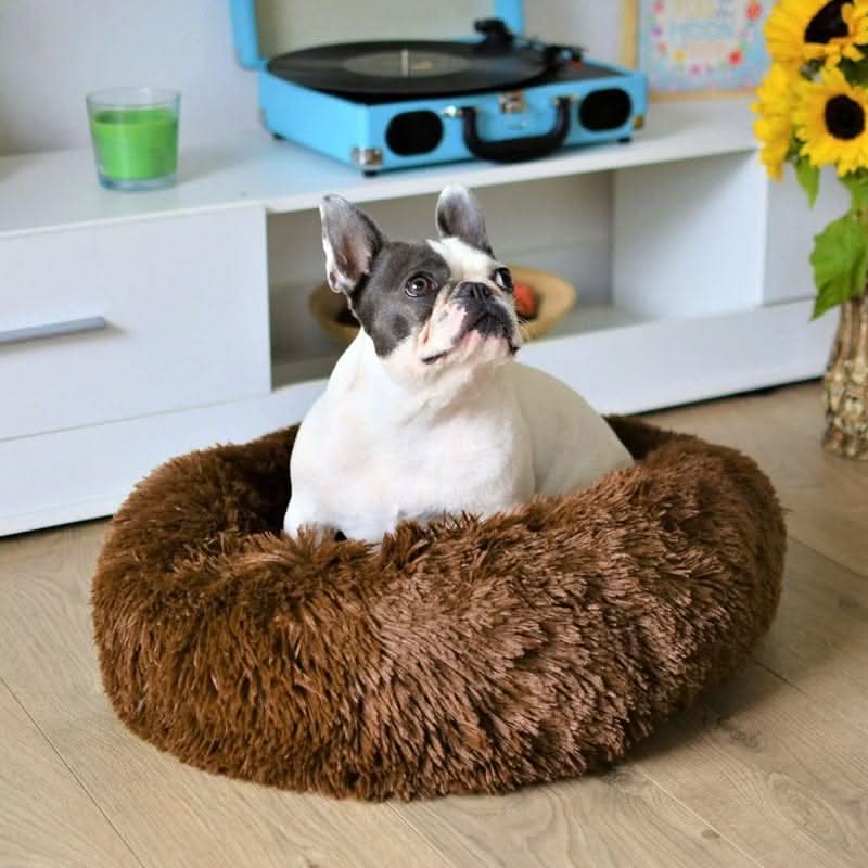 BowLift | Anti-Stress Dog Bed with Soft Faux Fur & Supportive Padding
