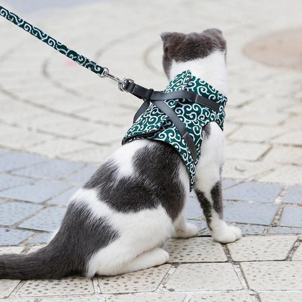 BowLift | Cat Vest Harness and Leash Set to Outdoor Walking