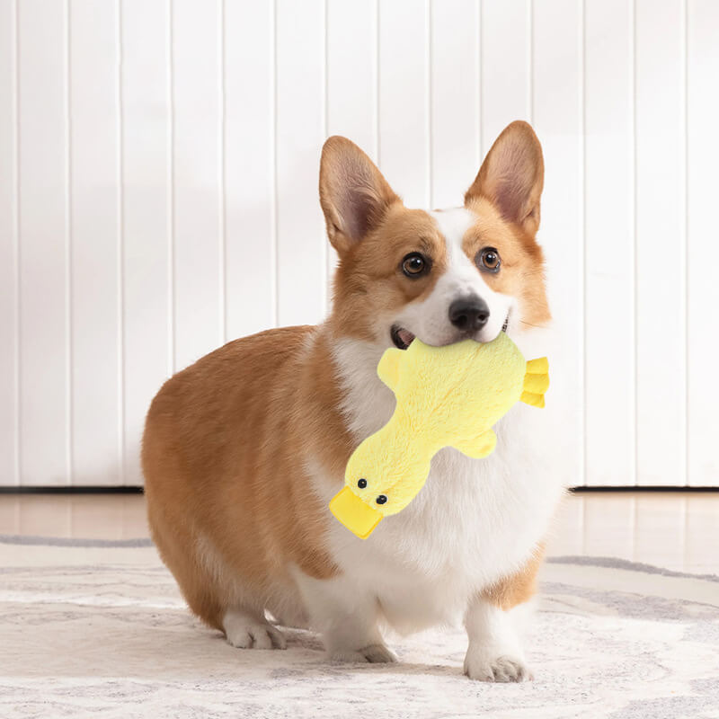 BowLift | Dog Chew Toy Plush Duck with Squeaker