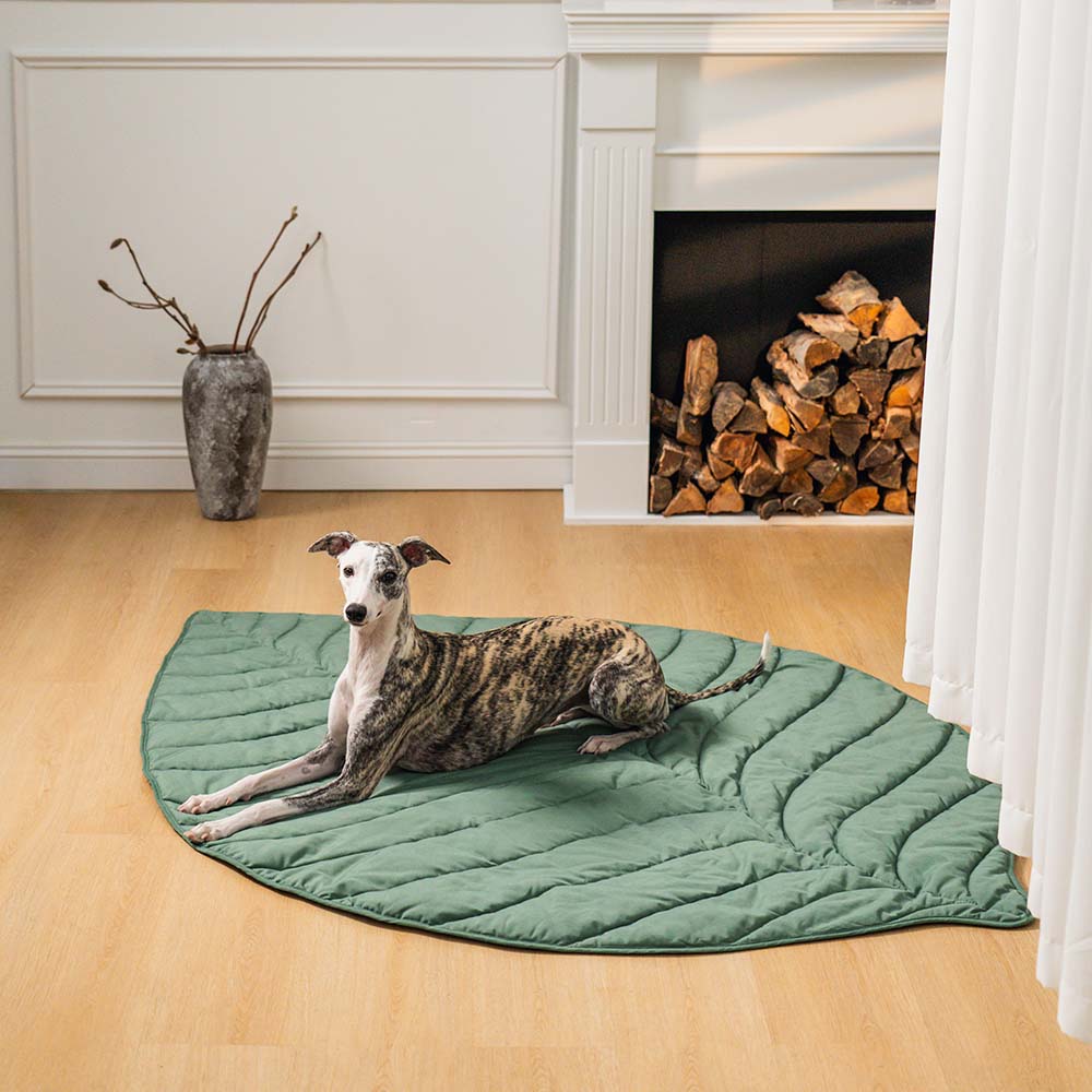 BowLift | Dog Blanket Mat for Large Pets