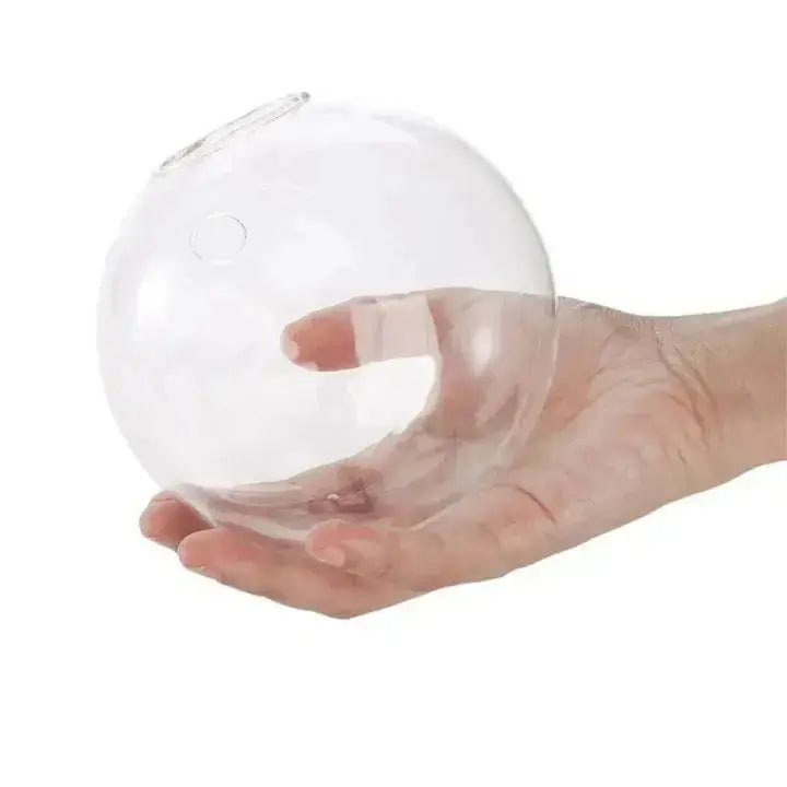 BowLift | Elegant Glass Wall Vase – Minimalist Plant Holder