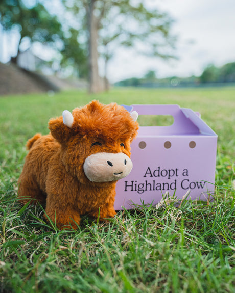 BowLift | The Highland Cow Plush Toy - Great Gift