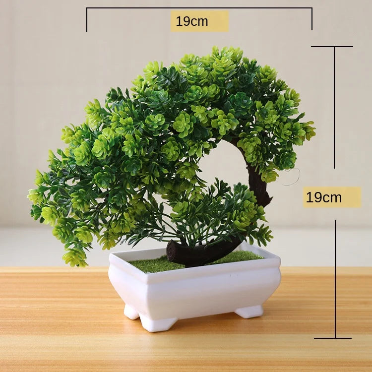 BowLift | Small Tree Pot Bonsai Plants