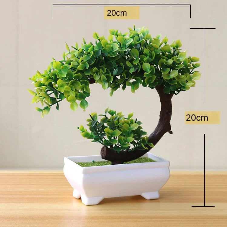BowLift | Small Tree Pot Bonsai Plants