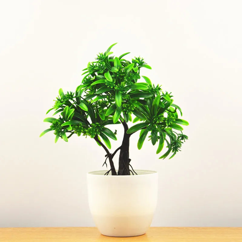 BowLift | Small Tree Pot Bonsai Plants