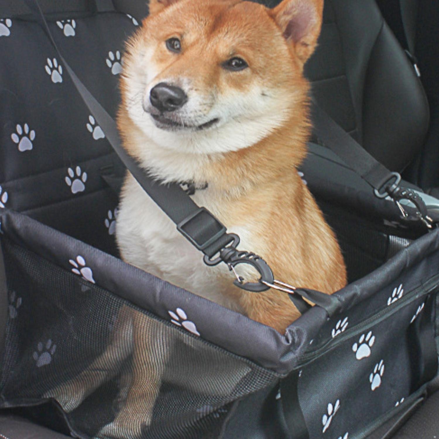 BowLift | AutoPaw Elevated Dog Car Seat – Waterproof, Non-Slip and Safe for On the Go