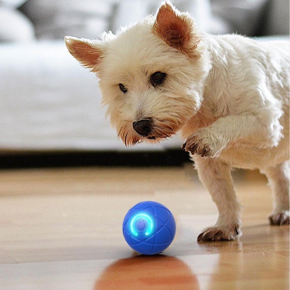 BowLift | Interactive Play Ball for Pets – Automatically Rolling & Jumping
