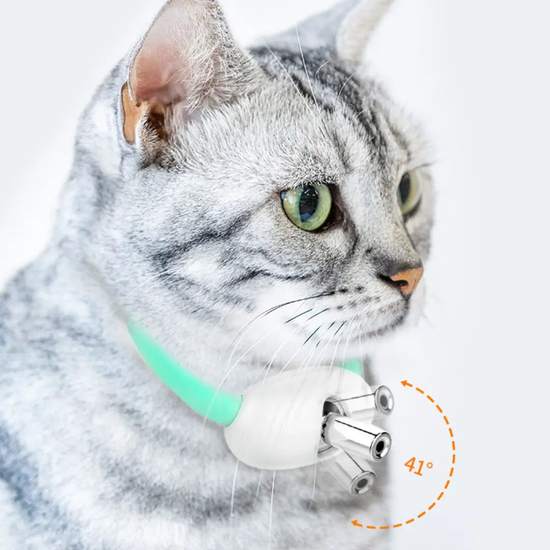 BowLift | Cat Collar Laser Light Toy – Endless Fun for Your Cat
