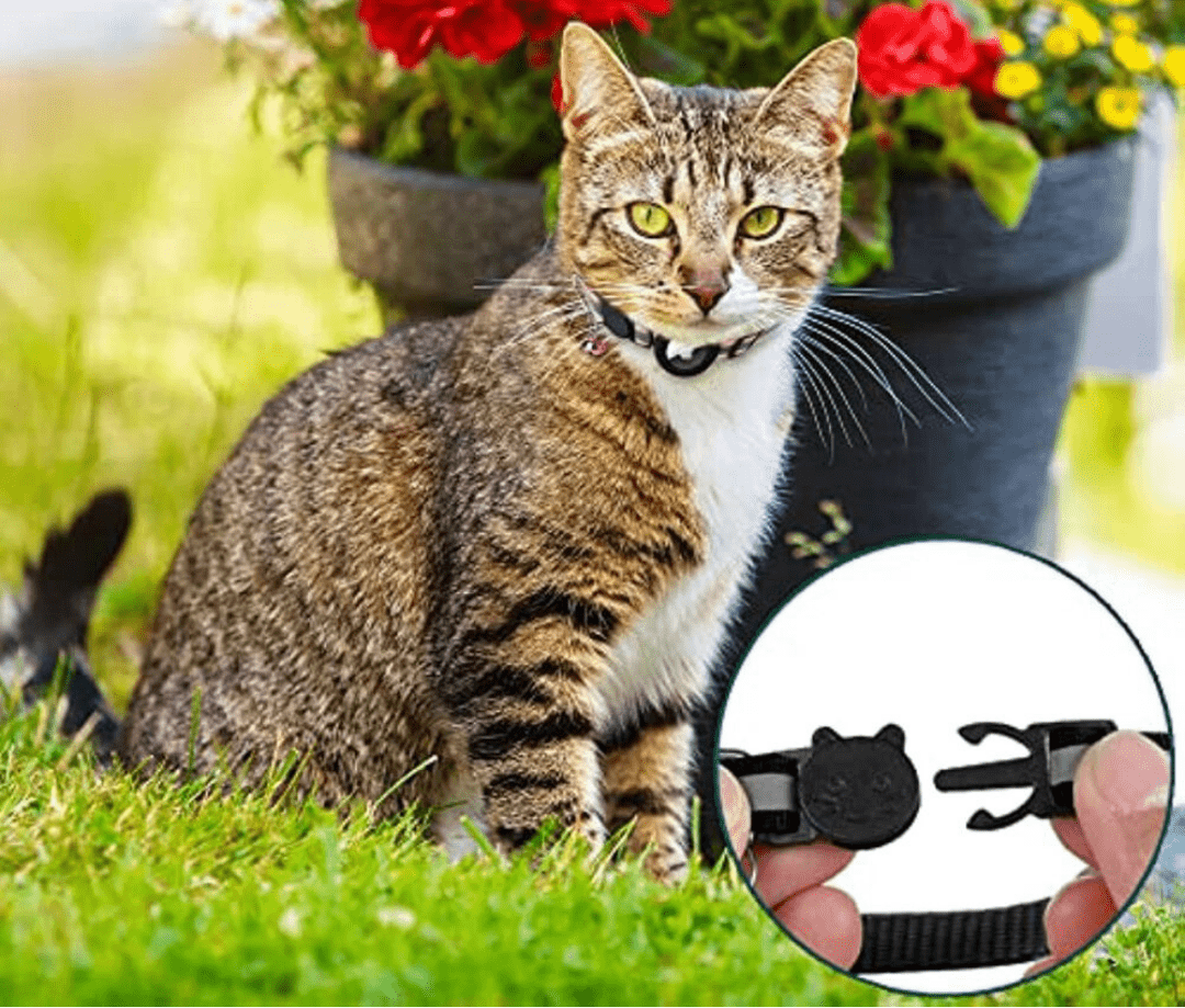 BowLift | GPS Collar for Cats with Reflective Design