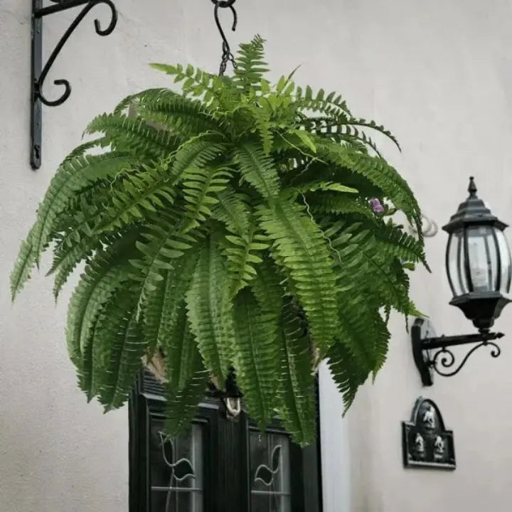 BowLift | Artificial Boston Fern Bundle - UV resistant & easy to care for (18 stems)