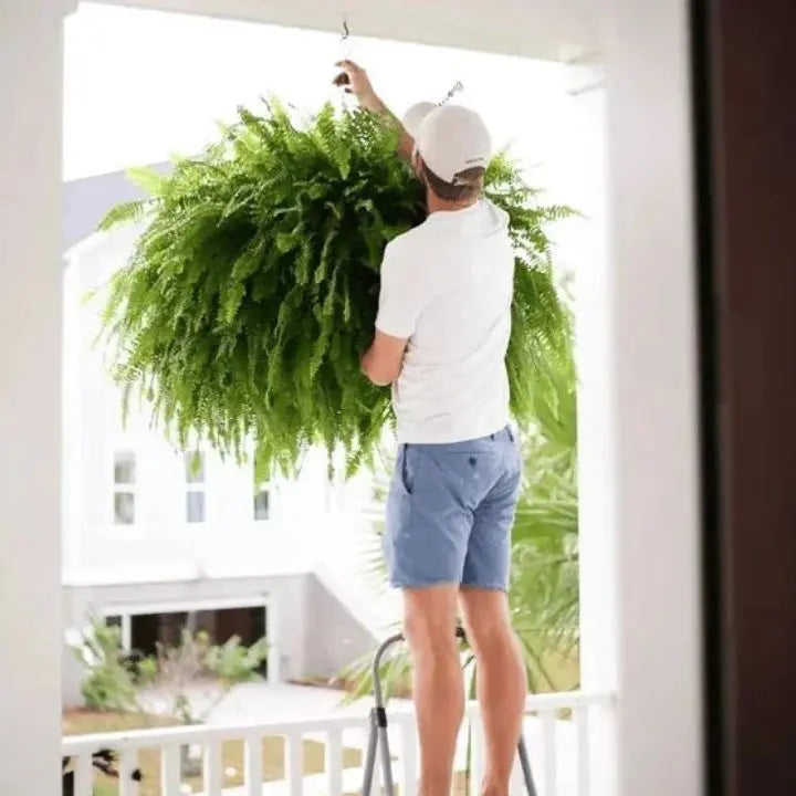 BowLift | Artificial Boston Fern Bundle - UV resistant & easy to care for (18 stems)