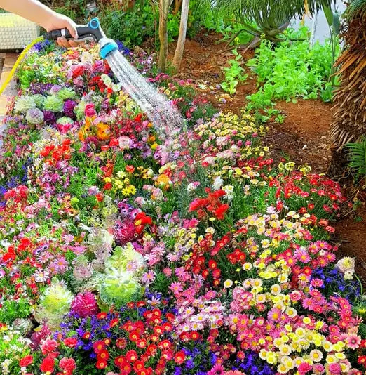 BowLift | Perennial Flower Mix for Year-Round Blossom Beauty