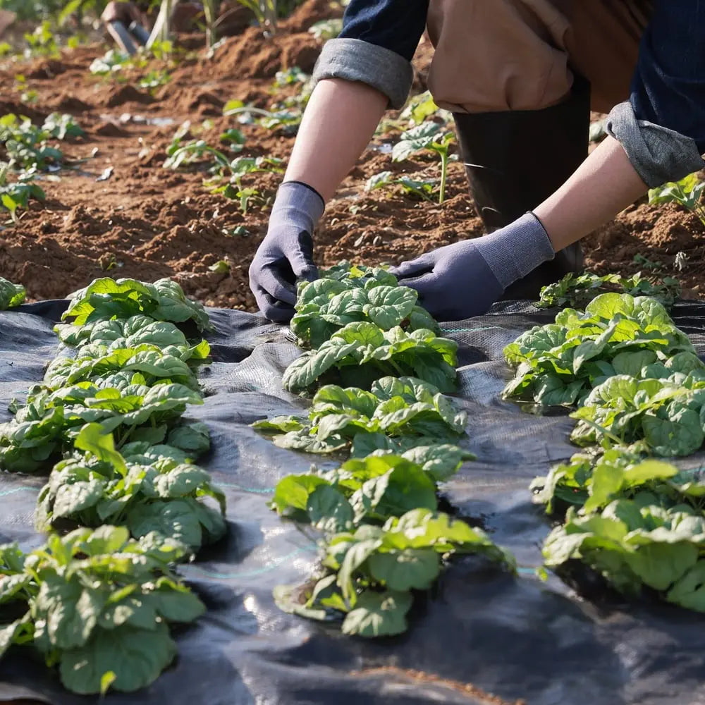 BowLift | Premium Weed Fabric – Long-lasting pRedection for your garden
