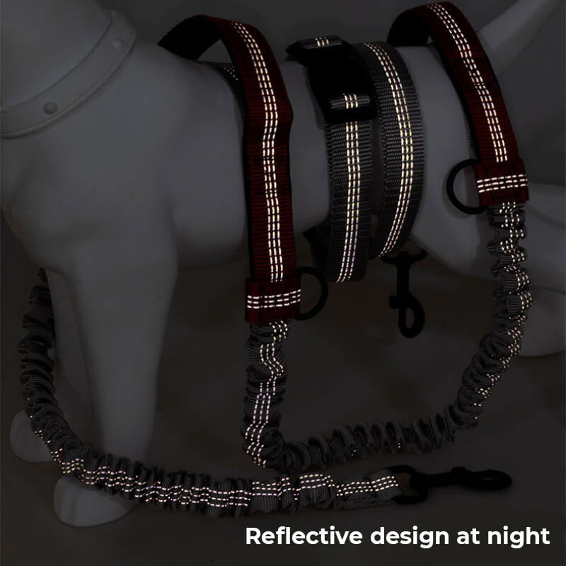 BowLift | Telescopic Double Grip Multifunctional Dog Leash