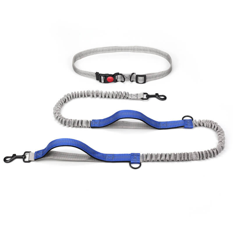 BowLift | Telescopic Double Grip Multifunctional Dog Leash