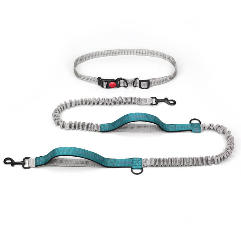 BowLift | Telescopic Double Grip Multifunctional Dog Leash