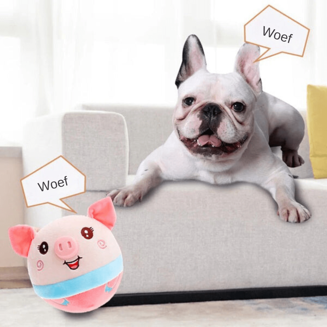 BowLift | Intelligent SmartBall for Active & Curious Dogs