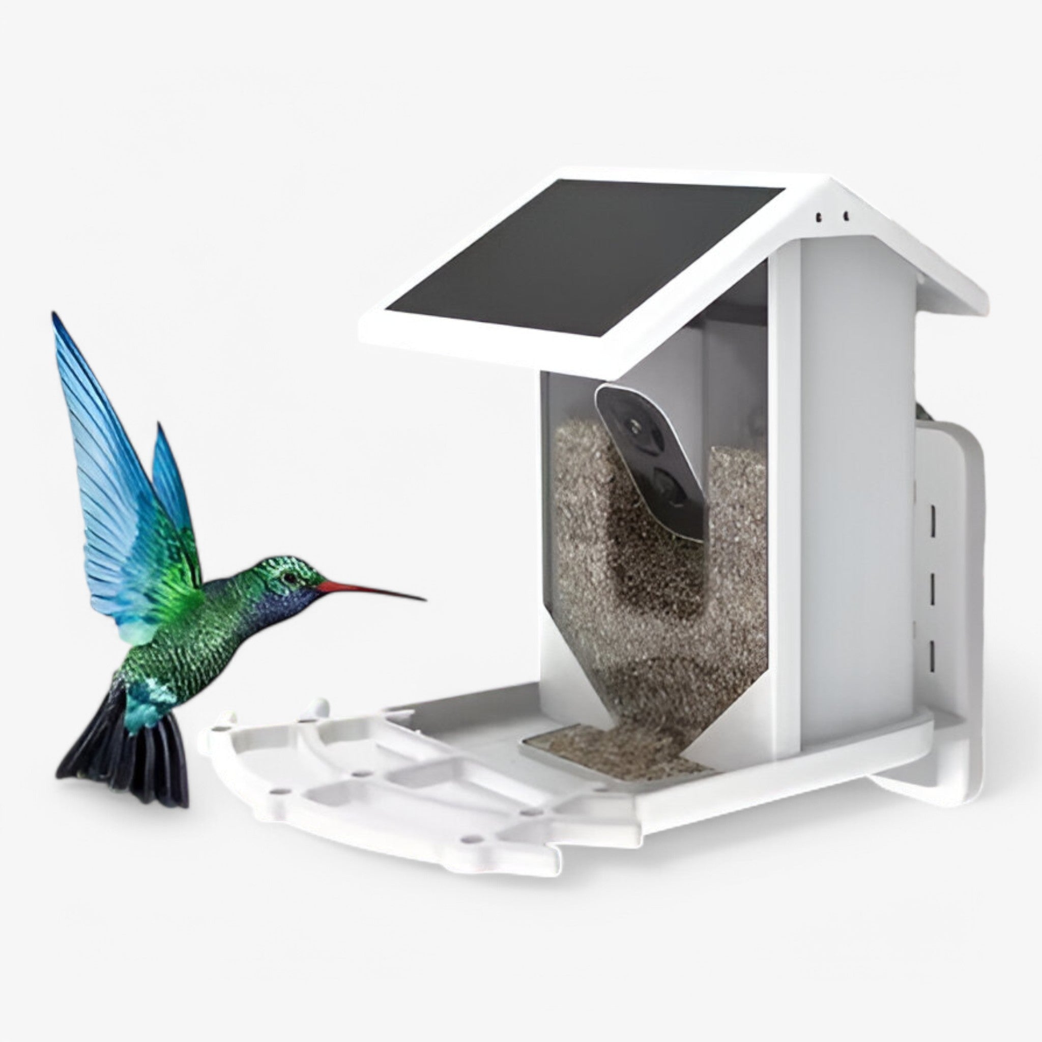 BowLift | Auxco | Smart Bird Feeder with 1080P HD Camera, AI Bird Recognition & Solar Charging