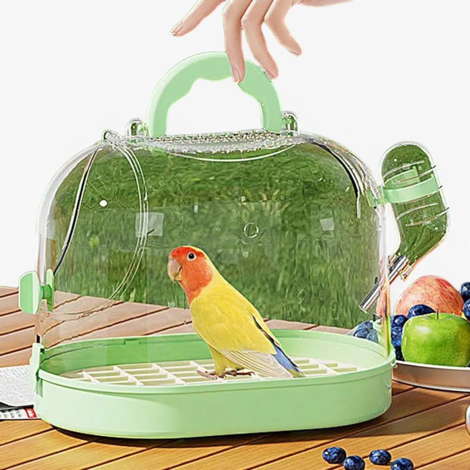 BowLift | Airy Carry Cage "Featherlight" for Small Pets and Birds